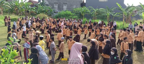 Gallery Image 395