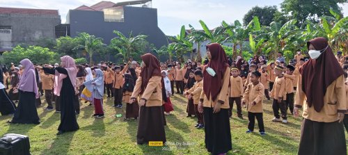Gallery Image 405